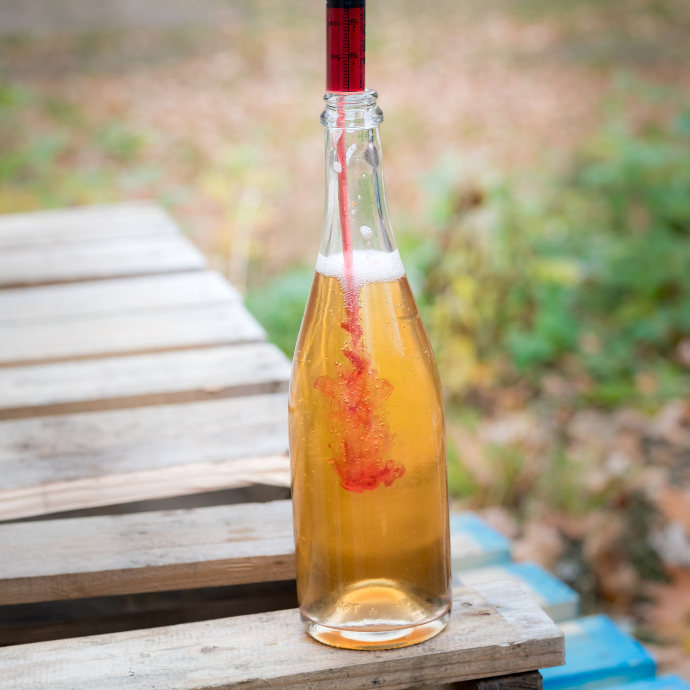 Cidre demi-sec cuvée 2024        **PAS DE LIVRAISON - CUEILLETTE SEULEMENT**