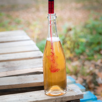 Cidre demi-sec cuvée 2024        **PAS DE LIVRAISON - CUEILLETTE SEULEMENT**